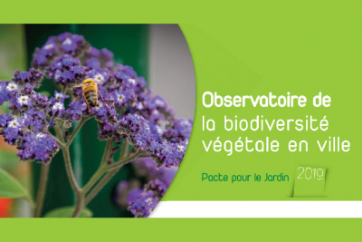 Observatoire de la Biodiversité Végétale en Ville : L’enquête 2019