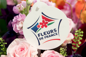 EXCELLENCE VEGETALE : Pour la Fête des mères, choisissez le label Fleurs de France… 