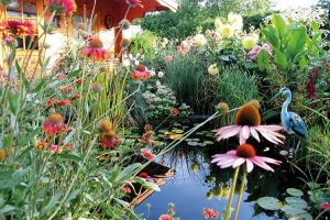 OASE FRANCE : Pourquoi l&#039;installation d’un petit bassin de jardin est un excellent moyen de favoriser la biodiversité ?
