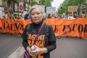 Tran To Nga : rendre justice aux victimes vietnamiennes de l&#039;agent orange