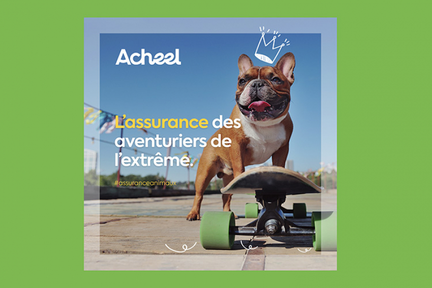 ACHEEL : La compagnie d’assurance française nouvelle génération 100% digitale