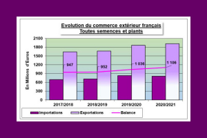 SEMAE : La France, leader mondial des exportations de semences en 2021 !