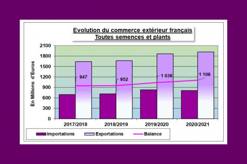 SEMAE : La France, leader mondial des exportations de semences en 2021, atteint l’excédent record de 1,106 milliard d’euros !